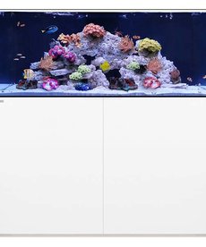 Waterbox WATERBOX AQUARIUMS REEF 130.4 Blanc