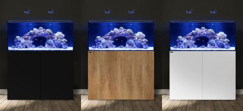 Waterbox aquarium